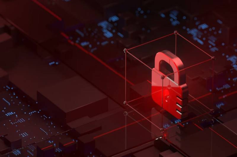 信创浪潮下的协同进阶:鲤城区软件开发公司助力ERP与多系统信创适配